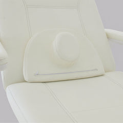 Multi-Functional Electric Beauty Bed E019-2