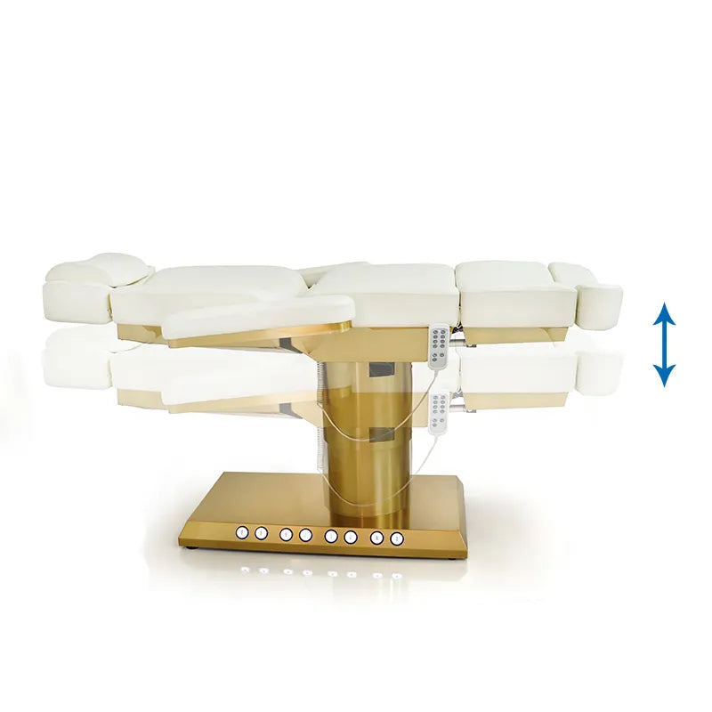 Electric Beauty Bed AD-23BN-01