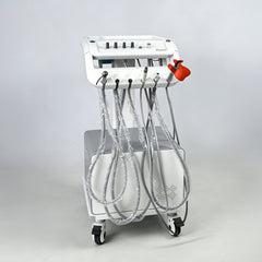 Veterinary Portable Unit PT-668D